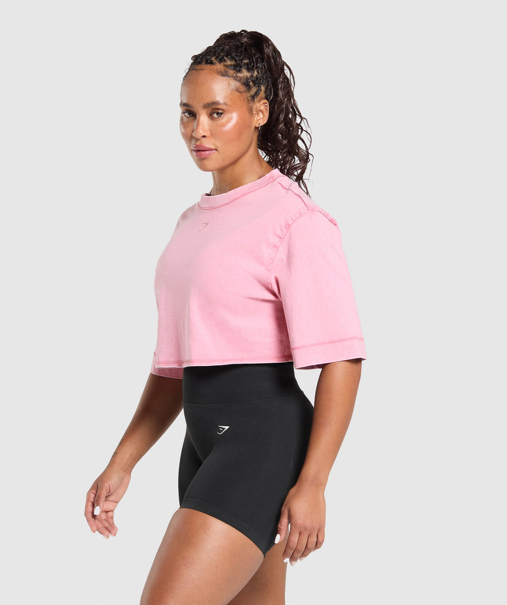 GSLC Washed Graphic Crop Top