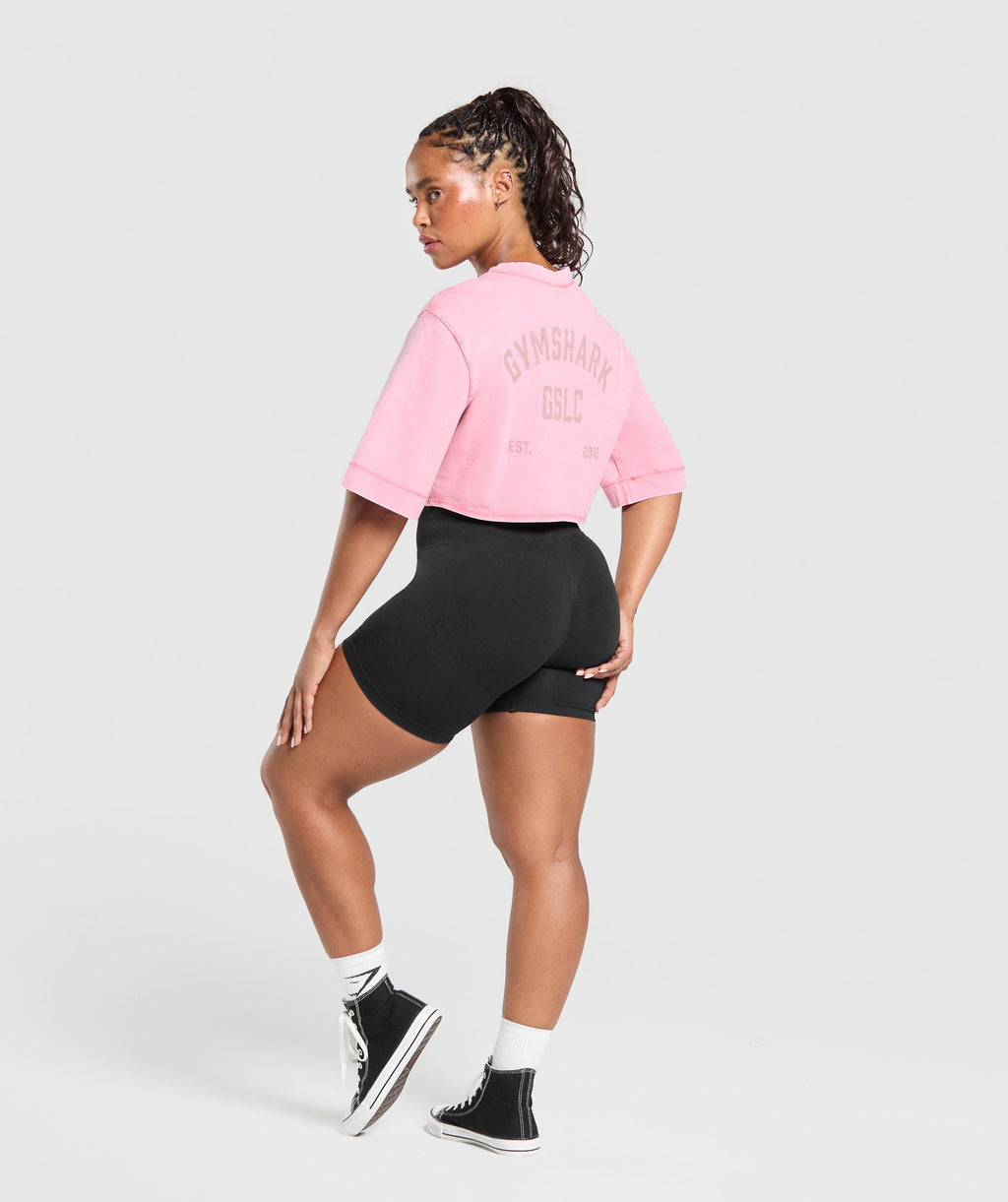 GSLC Washed Graphic Crop Top
