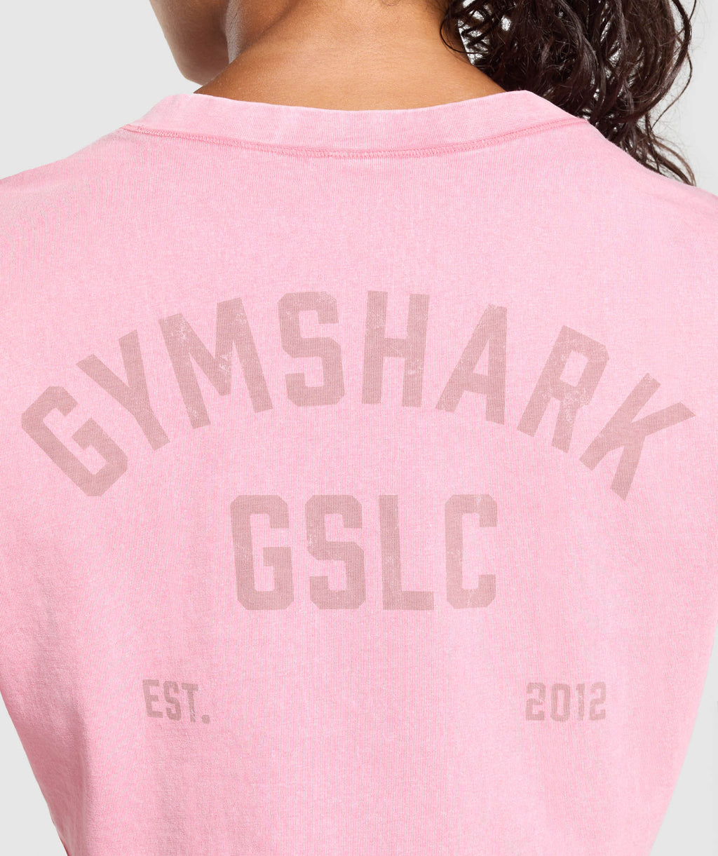 GSLC Washed Graphic Crop Top
