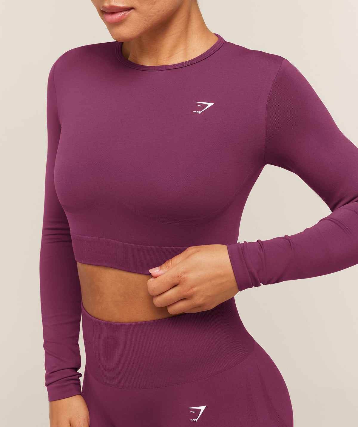 Everyday Seamless Long Sleeve Crop Top